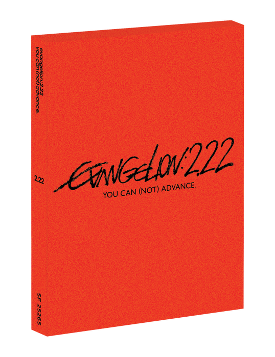 EVANGELION:2.22 YOU CAN (NOT) ADVANCE.