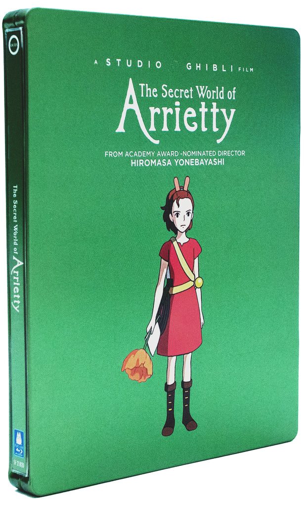 Amazon.com: The Secret World of Arrietty : Moisés Arias, Bridgit Mendler,  Amy Poehler, Will Arnett, Carol Burnett, David Henrie, Gracie Moore  Poletti, Moises Arias, Hiromasa Yonebayashi, Toshio Suzuki: Movies & TV