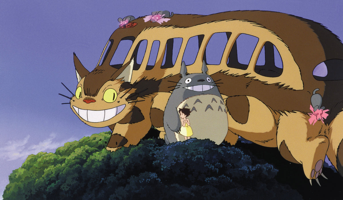 Edition Collector 2 DVD Ghibli Mon Voisin Totoro NEUF épuisé Hayao